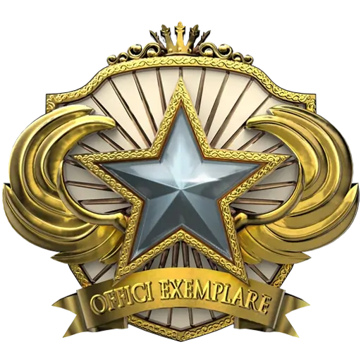 2018 Service Medal - 1
