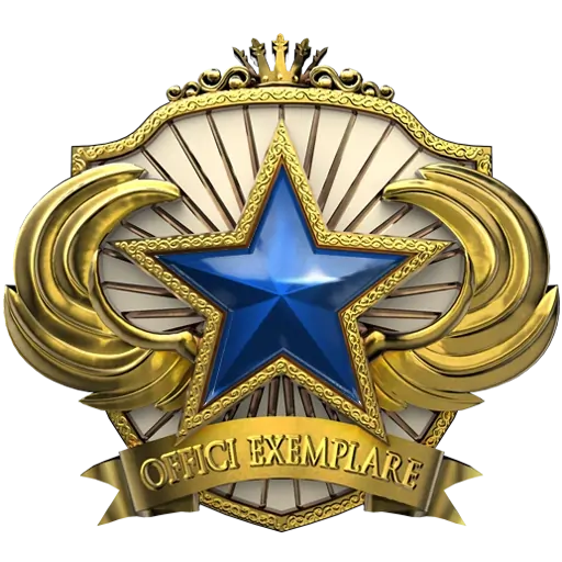 2018 Service Medal - 3