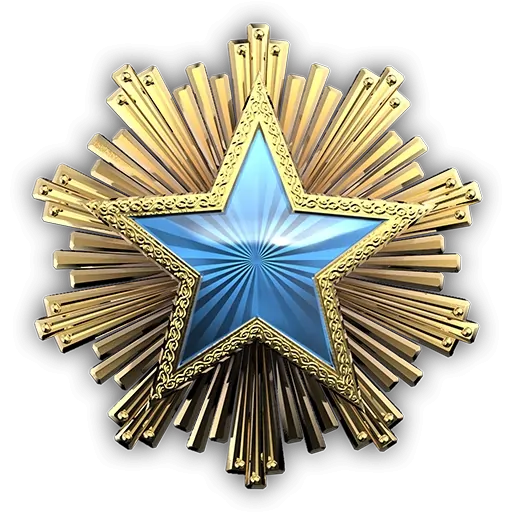 service_medal_2016_2