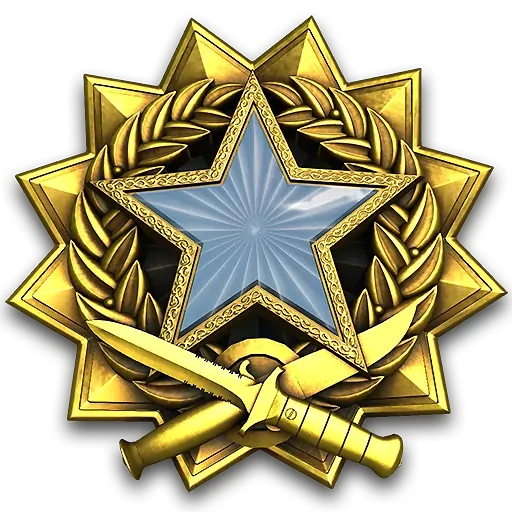 Service_medal_2017_lvl1_large