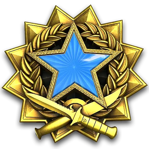 Service_medal_2017_lvl2