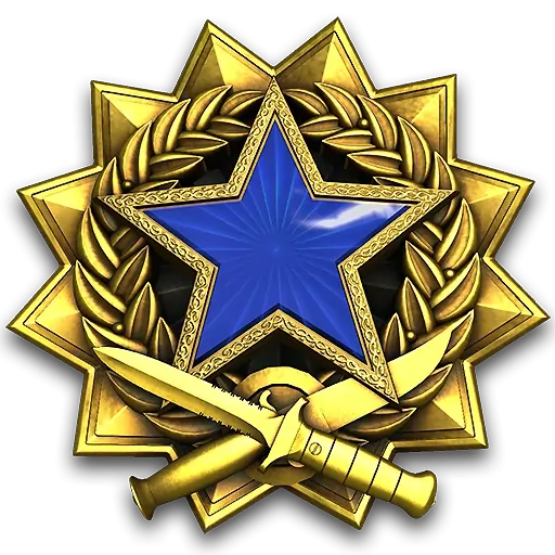 Service_medal_2017_lvl3