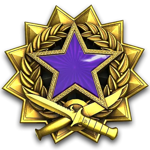Service_medal_2017_lvl4