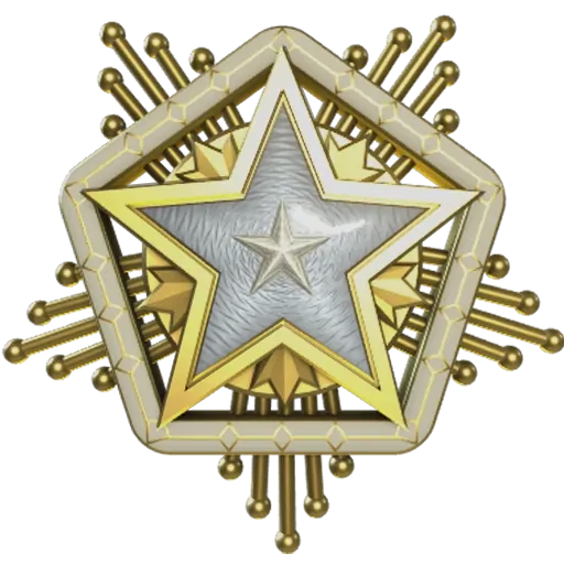 Service_medal_2024_lvl1