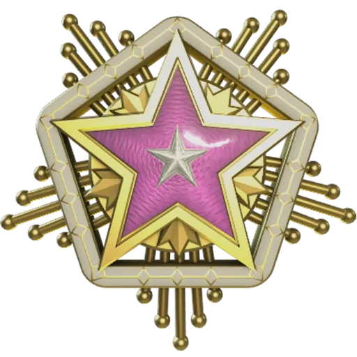 Service_medal_2024_lvl5